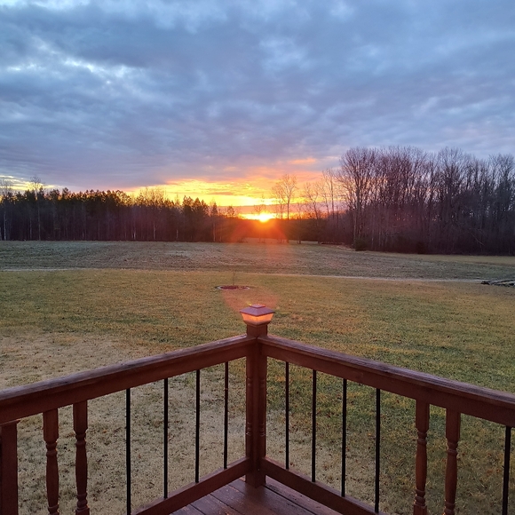 Meet your Posher, Patty - Picture 2 of 4